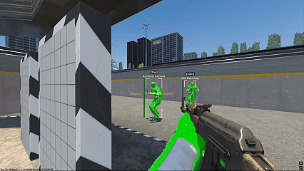 Aimbot Showcase